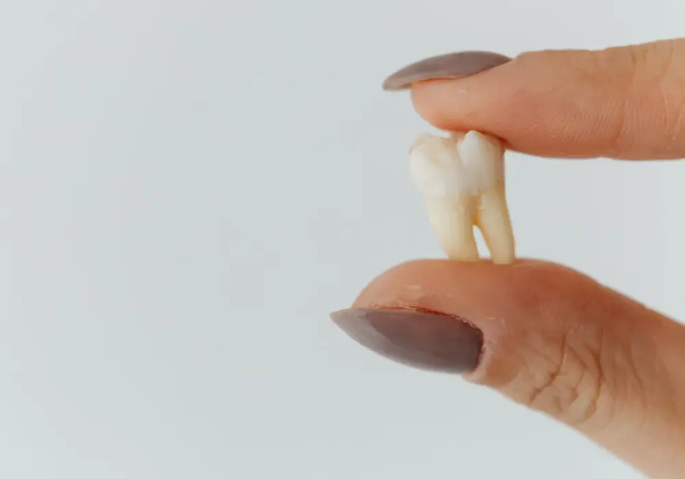 Co dentysta robi z wyrwanym zębem? Ważne informacje o utylizacji