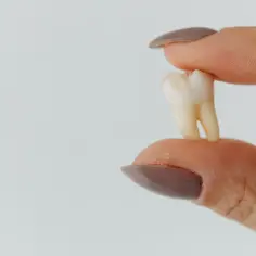 Co dentysta robi z wyrwanym zębem? Ważne informacje o utylizacji