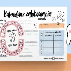 Kalendarz ząbkowania mleczaków. Ilustracja przedstawia schemat zębów, kiedy wychodzą zęby 7. miesiącu życia.