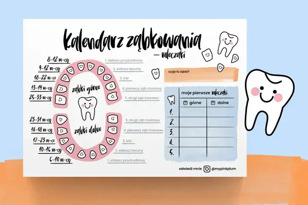 Siódemki - Kiedy wychodzą i jak o nie dbać? Poradnik