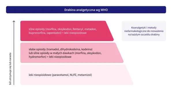 Opioidy a opiaty - różnice, działanie i najważniejsze ryzyka